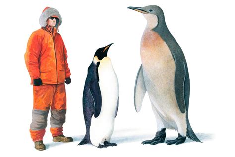 mega penguin|Iba pa.